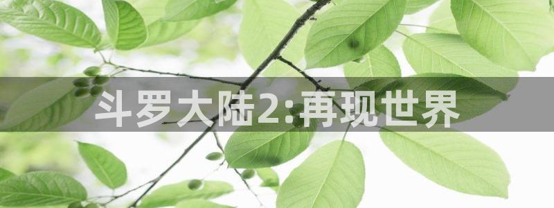 yy漫画漫画首页：斗罗大陆2:再现世界