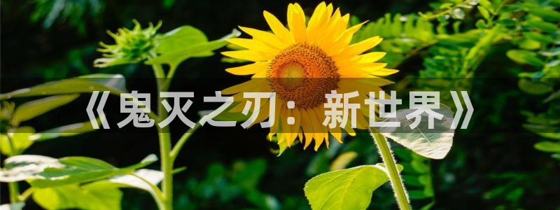 yy漫画污：《鬼灭之刃：新世界》
