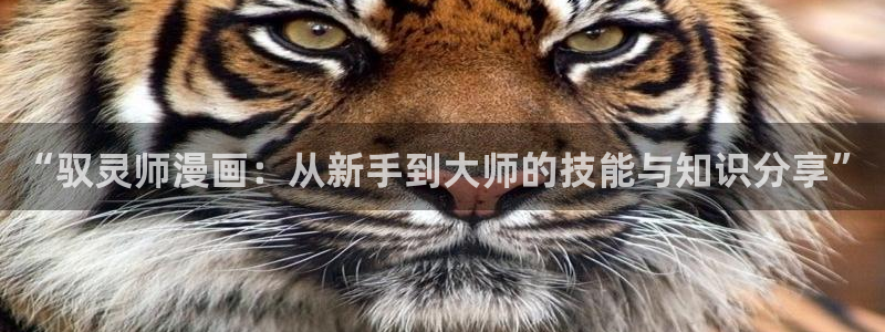 yy漫画免费进入：“驭灵师漫画：从新手到大师的技能与知识分享”