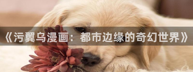 yy漫画sss：《污翼乌漫画：都市边缘的奇幻世界》