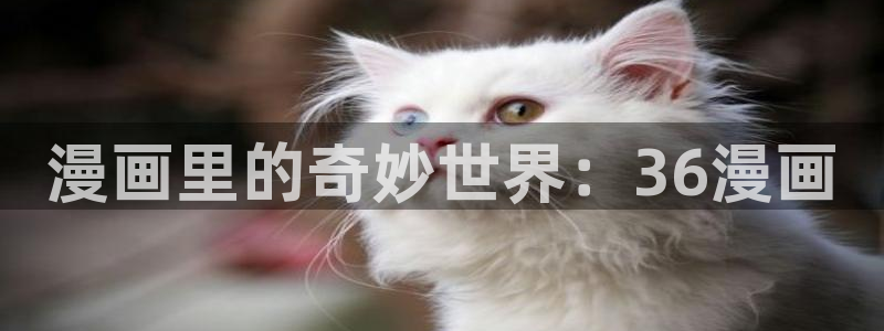 yy漫画在线阅读免费漫画阅读：漫画里的奇妙世界：36漫画