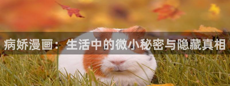 yy漫画韩漫在线阅读：病娇漫画：生活中的微小秘密与隐藏真相