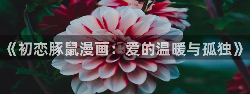 yy漫画韩国免费：《初恋豚鼠漫画：爱的温暖与孤独》