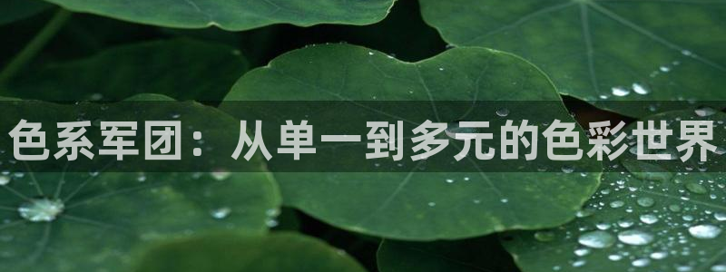 yy漫画在线版免费阅读：色系军团：从单一到多元的色彩世界