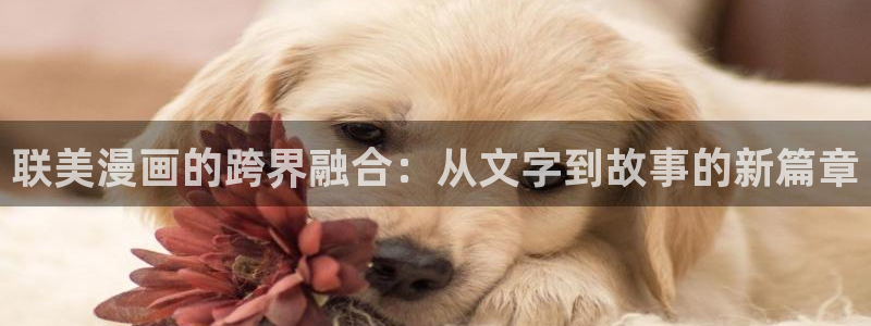 日韩yy漫画：联美漫画的跨界融合：从文字到故事的新篇章