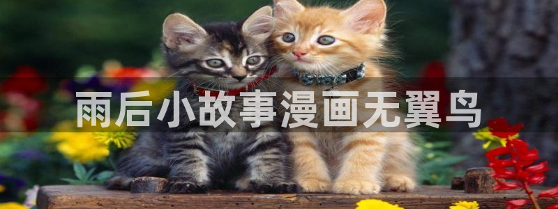 yy漫画在线阅读：雨后小故事漫画无翼鸟